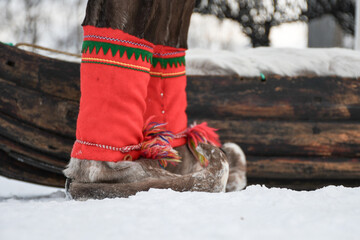 Close-up of traditional Sámi reindeer fur footwear with curled toes and bright red decorative leg coverings, worn outdoors in snow beside a traditional wooden reindeer sled. © HelenaUpNorth