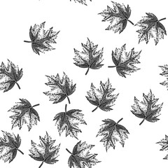 Obraz premium seamless pattern green maple leaf hand drawn. green fall, foliage ground canada maple leaf black sketch illustration