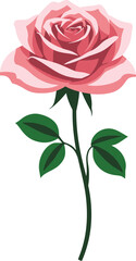 Obraz premium Pink rose with green leaves on a white background vector illustration