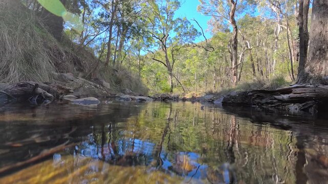 Camera Submerging into Clear Freshwater Creek with Rocks and Trees