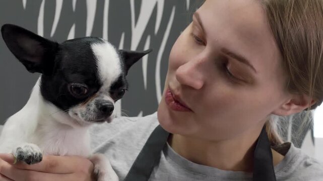 Woman holds black white Chihuahua while gazing affectionately at dog, expressing joy, against textured gray wall with handheld camera capturing intimate bonding moment.