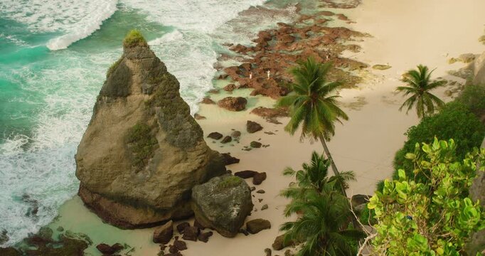 Tall limestone cliff towers over white sand and palm trees at Diamond Beach in Nusa Penida Bali