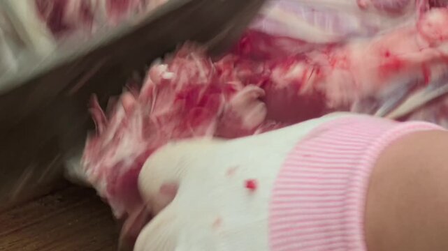 Rural documentary: A butcher chopping large pieces of fresh mutton with a heavy cleaver on a plastic sheet.