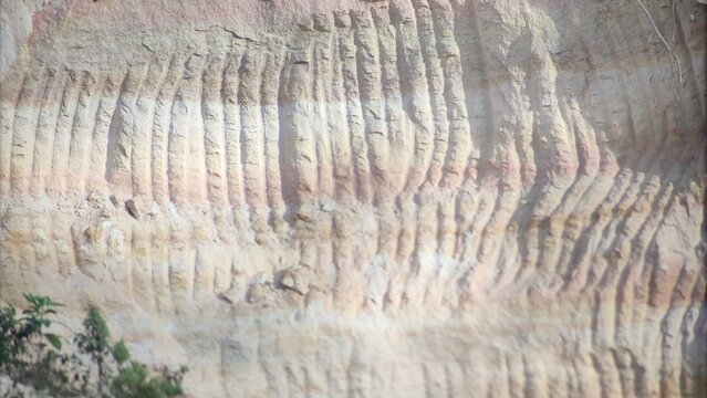 Vertical Grooves on a Sandy Limestone Quarry Wall with Wild Green Plants and Natural Textures