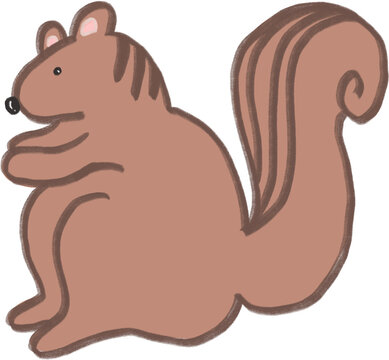 squirrel