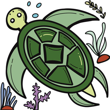 Sea Animal Sea turtle and seaweed underwater cartoon