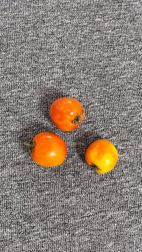 Top view of three raw organic imperfect tomatoes on a textured grey fabric background with copy space