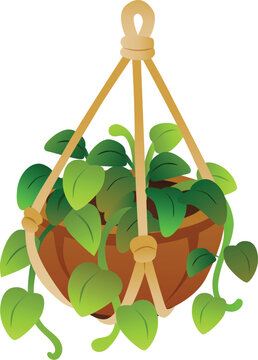 hanging plant basket home decoration