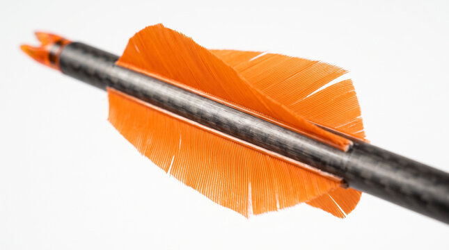 Detailed Macro View of Arrow Carbon Shaft with Bright Orange Feather Fletching
