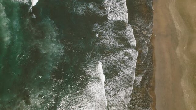 Aerial reveal view of ocean waves rolling toward sandy beach with palm tree coastline