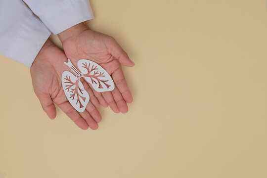 Compassionate doctor holding paper lung model with gentle care for effective pulmonary health management and respiratory wellness