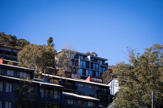 Modern Apartments Amidst Trees Under Clear Sky