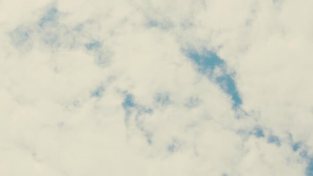 A black bird with a red beak soars through a cloudy sky above a dense tropical forest in Ecuador