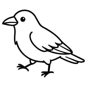 Simple Line Drawing of a Bird Sitting and Looking Curiously