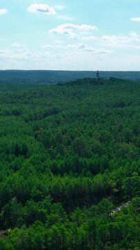 A vertical aerial shot showing the historic Stilo lighthouse emerging from a vast pine forest canopy under a blue sky in Osetnik, Poland. Suitable for travel and nature documentaries.