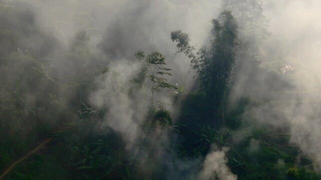 Cinematic fog mist looking smog drifting through jungle trees with rays of light during rice terrace stubble burning season. Ban Khoang district, Lao Cai.
