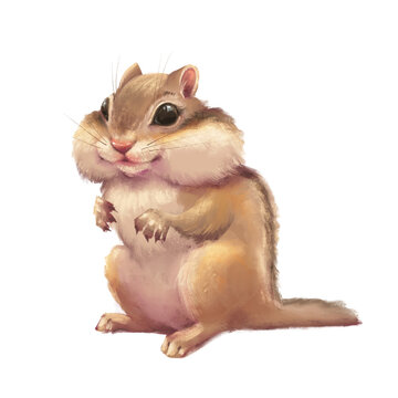 Hand-drawn illustration of a cute chipmunk with stuffed cheeks