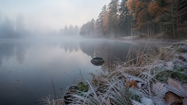 Low angle view of Autumn fog inversion above woodland lake