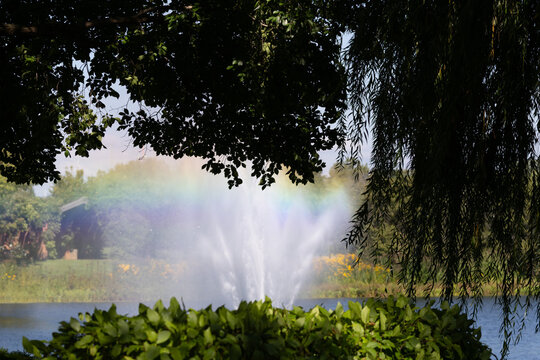 Rainbow Forming in Mist Above a Garden Pond Fountain