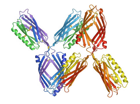 Colorful Protein Structure Model Showing Complex Molecular Helix Arrangement transparent background