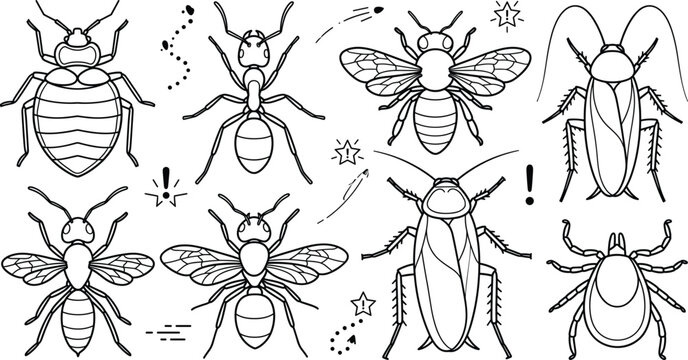 Set of household pest insect bedbug ant bee cockroach tick parasite line art elements isolated on white background