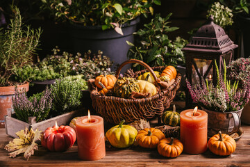 Obraz premium Rustic autumn harvest display with pumpkins and gourds in a wicker basket on patio