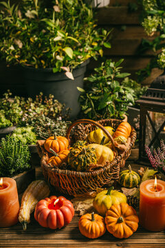 Rustic autumn harvest display with pumpkins and gourds in a wicker basket on patio