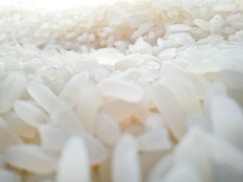 macro close-up view of raw white rice grains scattered densely