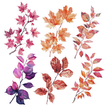 Colorful autumn leaves watercolor illustration set png