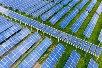 Aerial view of orderly rows of blue solar panels on green grass © zhangyang135769