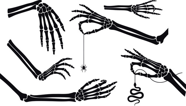 Spooky skeleton hands and arms with creepy spider and snake vector set