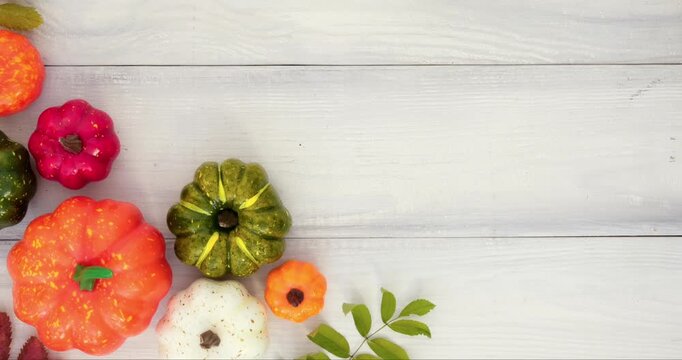 Colorful pumpkins, fall leaves and place for text on an white wooden background. Looped 4K stop motion animation