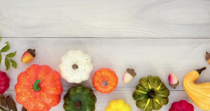 Colorful pumpkins, acorns and place for text on a white wooden background. Looped 4K stop motion animation 