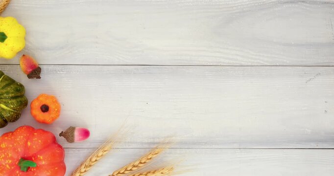 Colorful pumpkins, wheat ears, acorns and place for text on a white wooden background. Looped 4K stop motion animation 