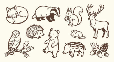 Obraz premium Cute Hand-Drawn European Woodland Forest Native Wildlife Set 10 Objects Marker Doodle Set