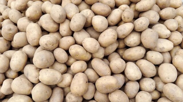 Fresh raw potatoes slow motion moving video footage