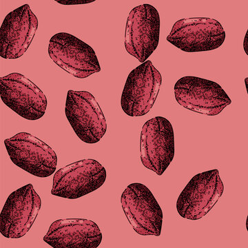 pattern peanut nut food dried hand drawn. butter vector, spread cream, raw jar, group texture, organic shell peanut nut food dried vector sketch illustration