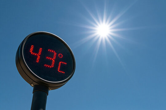 A digital outdoor thermometer displays 43 degrees Celsius against a bright summer sun and clear blue sky.