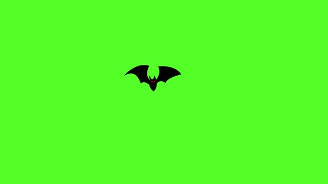 bat flying on a green screen