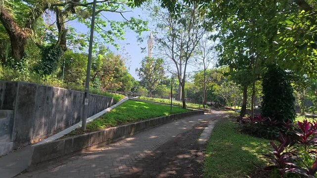 Shaded tropical park pathway winding through lush green trees