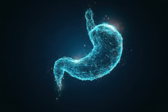 Glowing human stomach made of digital wireframe polygonal mesh floating in dark cyberspace.