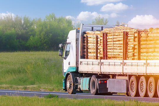 Large lorry loaded with timber logs
