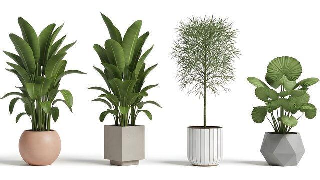 Set of four different green indoor plants growing in modern ceramic pots for home decor