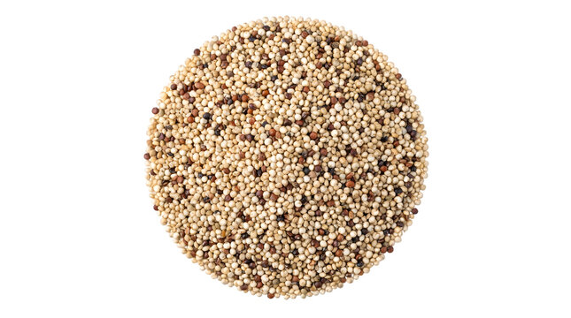 Organic tricolor quinoa seeds in a perfect circle, raw mixed red white and black quinoa grains, healthy superfood cereal for culinary cooking isolated PNG with Transparent Background