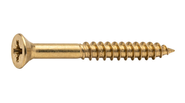 Single brass wood screw with phillips head on white solated on transparent background