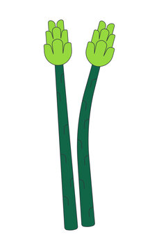 Two fresh asparagus spears 2D cartoon clip art. Nutritious vegetable. Healthy eating. Seasonal produce. Long organic stalks isolated flat vector element on white background. Spot illustration