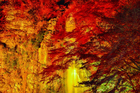 箕面大滝と紅葉のライトアップ