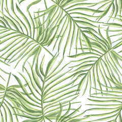 Coconut palm green leaves watercolor seamless pattern. Rainforest plant background hand drawn illustration for summer designs. Exotic tropical greenery for packaging, textile, wallpaper, scrapbooking. © susie_p_art