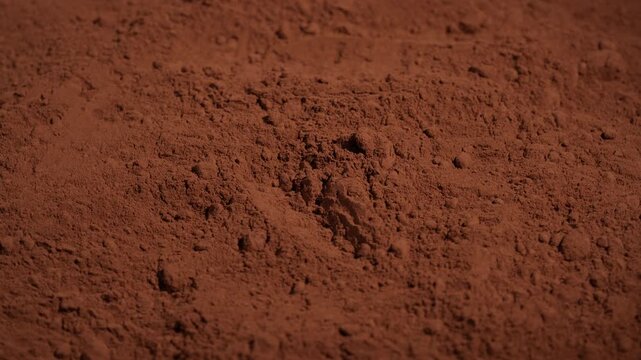 Natural dark brown cocoa powder textured background, close up, rotation. Heap of organic cacao powder