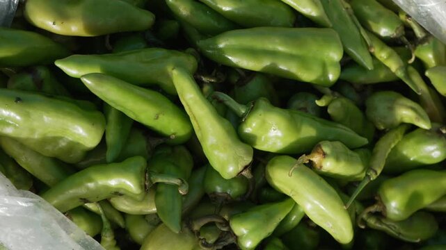 Fresh raw green chili peppers displayed in plastic bag at local market